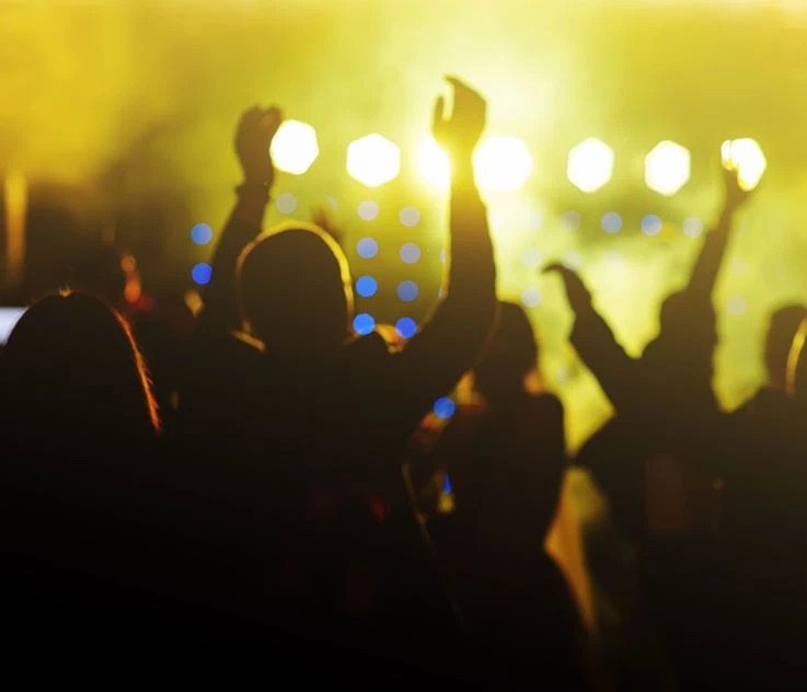 Fest med livemusik